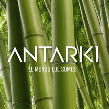 LENTES PACAYA SAMIRIA (ARTISTA) by Antarki - HAF Perú