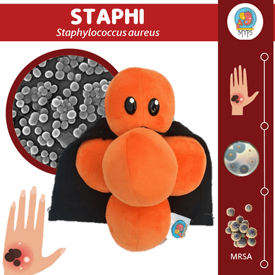 STAPHI (STAPHYLOCOCCUS AUREUS) by Myps - HAF Perú