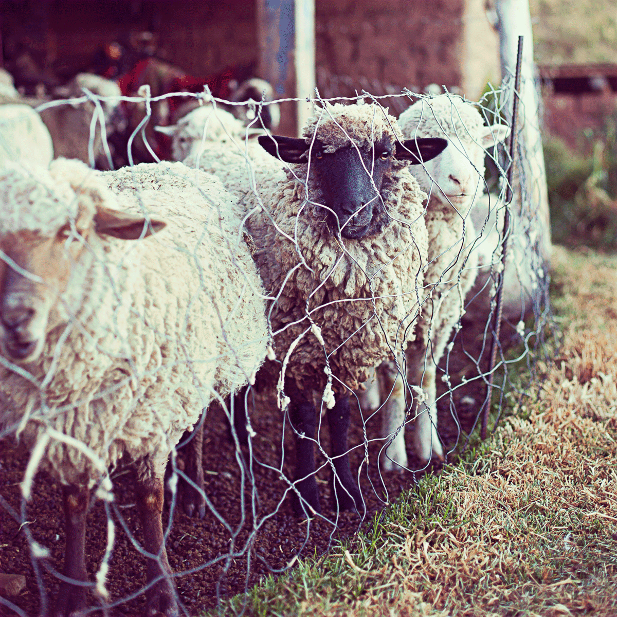 MUEBLE TERCIOPELADO ESPAÑOL CON BORDADO by Las Polleras de Agus - HAF Perú