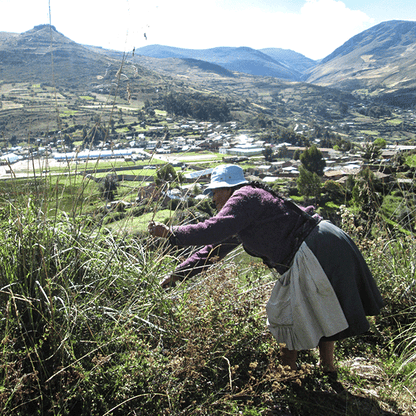 (PACK x 1000) SORBETES GRUESOS by Ayru - HAF Perú