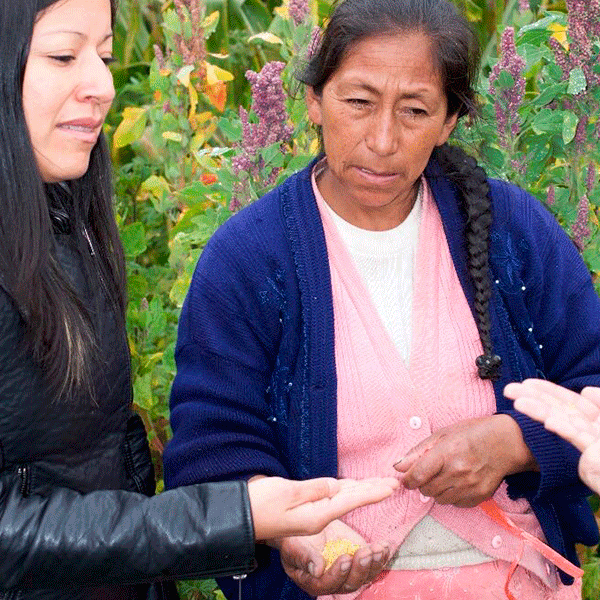LECHE LIMPIADORA CON ACEITE ORGÁNICO by Qéira - HAF Perú