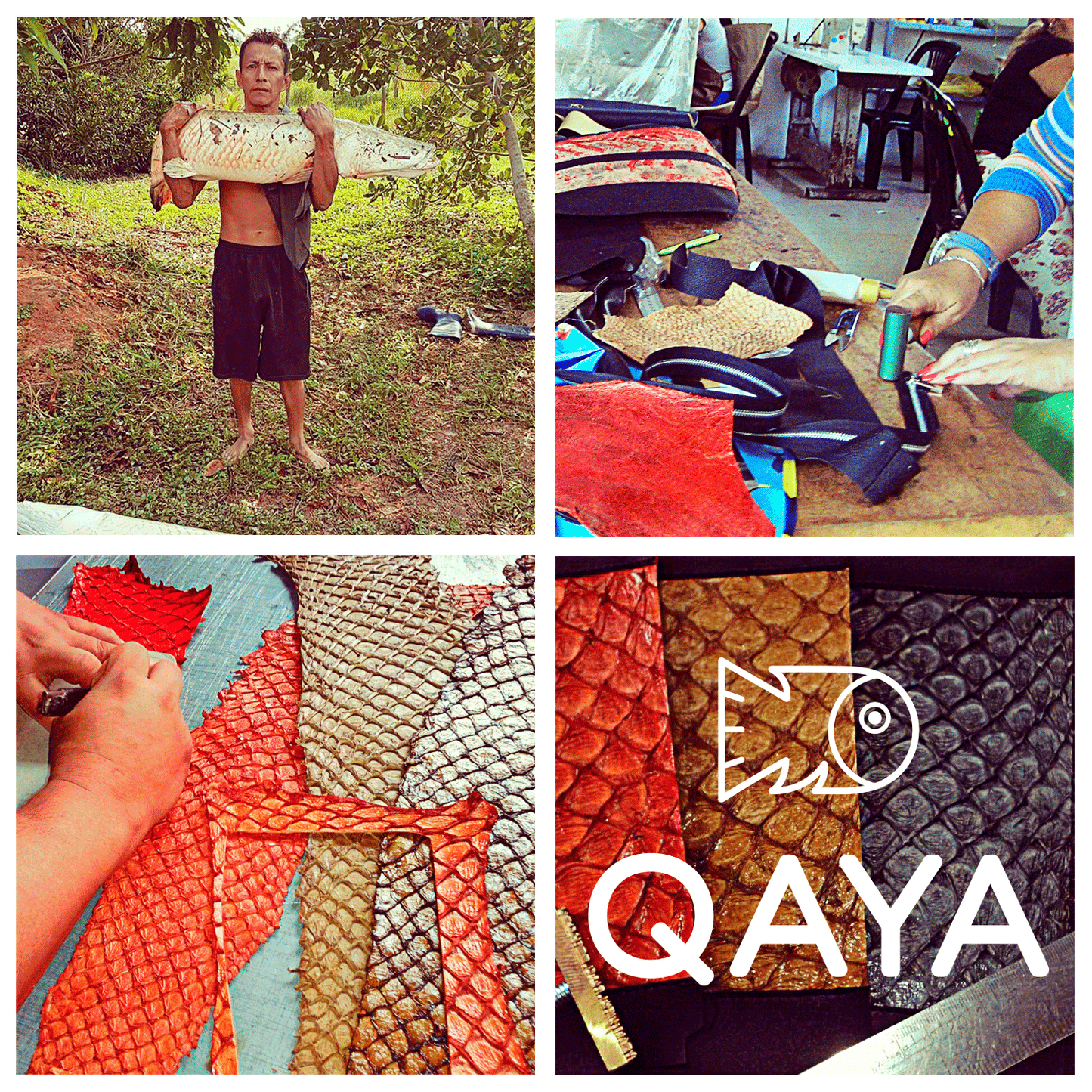 Billetera Paiche (Marrón int. Negro) by QAYA - HAF Perú