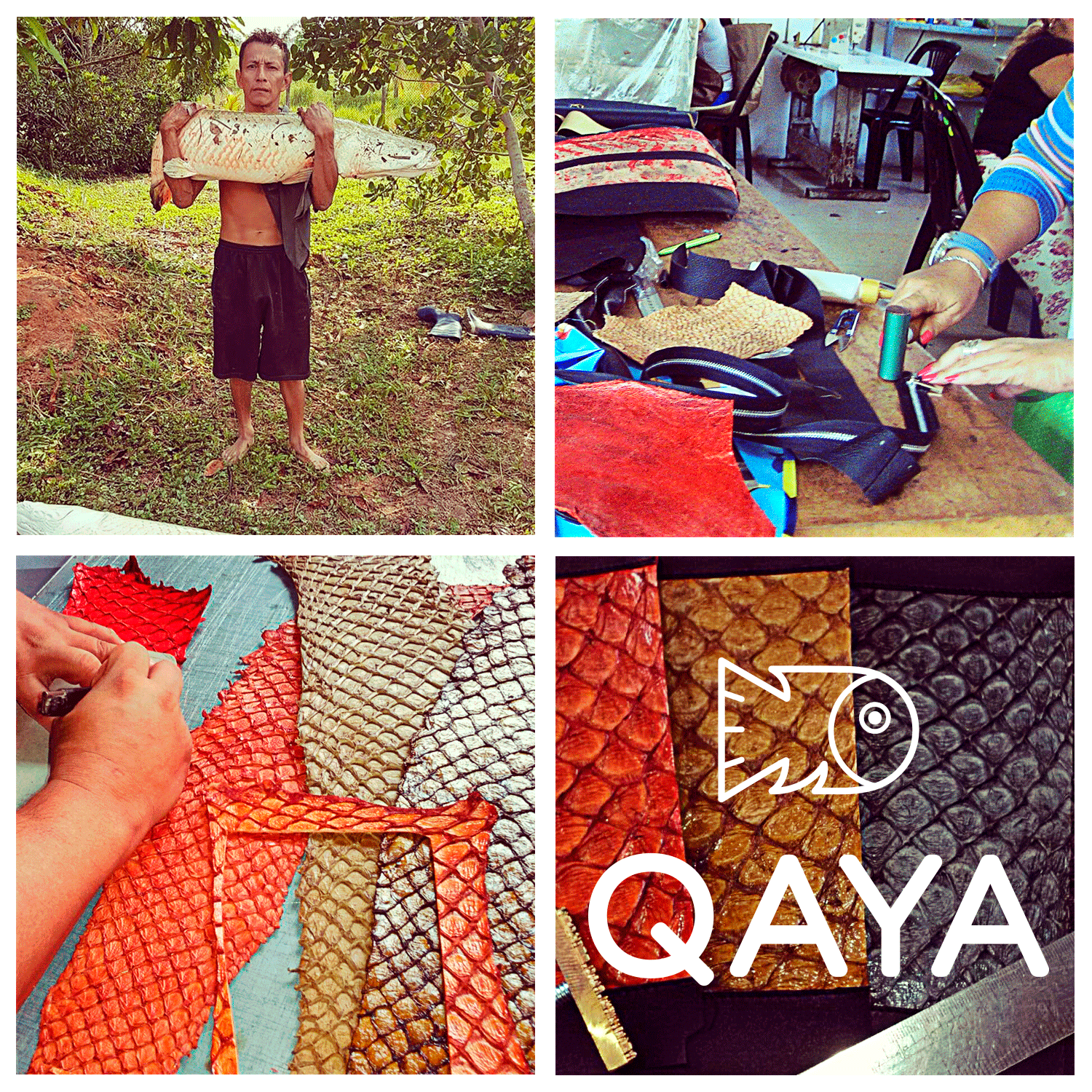 Billetera Paiche (Marrón int. Negro) by QAYA - HAF Perú