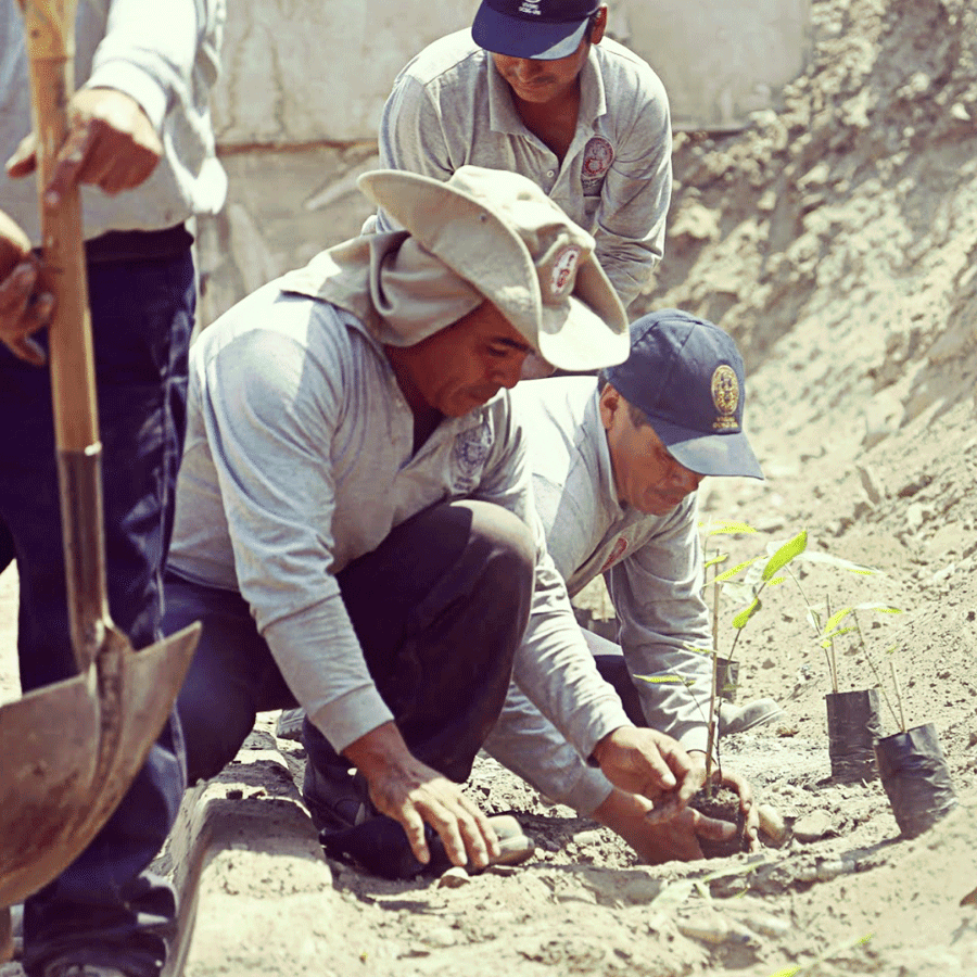 LENTES DEL MANU (ARTISTA) by Antarki - HAF Perú