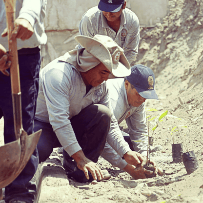 LENTES DEL MANU (ARTISTA) by Antarki - HAF Perú