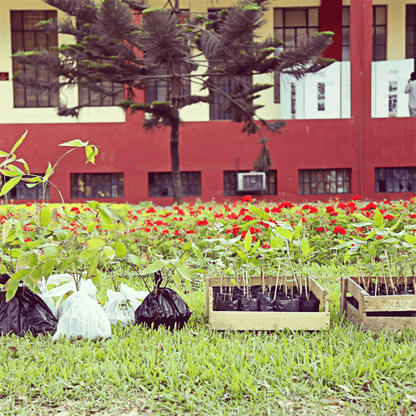 LENTES CERROS DE AMOTAPE (DEPORTISTA) by Antarki - HAF Perú