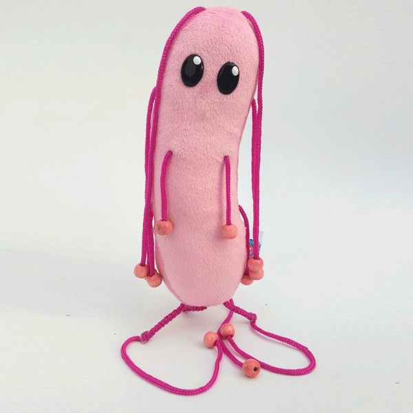 E.COLI (ESCHERICHIA COLI) by Myps - HAF Perú