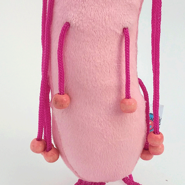 E.COLI (ESCHERICHIA COLI) by Myps - HAF Perú