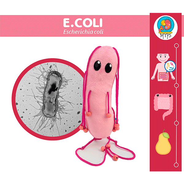 E.COLI (ESCHERICHIA COLI) by Myps - HAF Perú