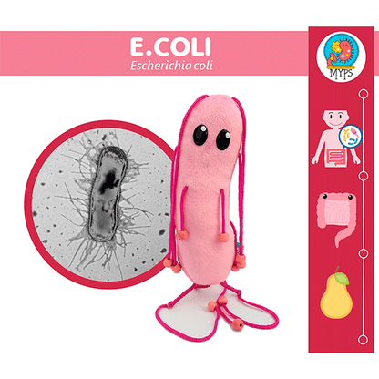 E.COLI (ESCHERICHIA COLI) by Myps - HAF Perú