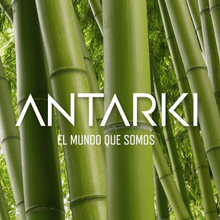 LENTES TINGO MARIA (AVENTURERO) by Antarki - HAF Perú