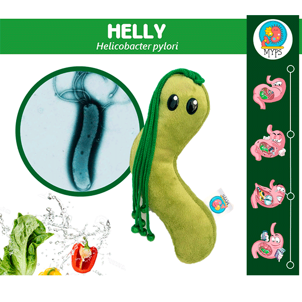 HELLY by Myps - HAF Perú