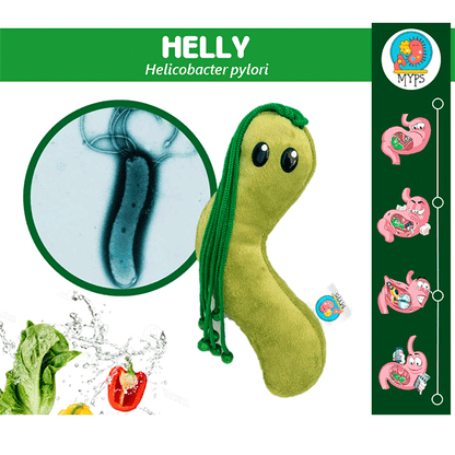 HELLY by Myps - HAF Perú