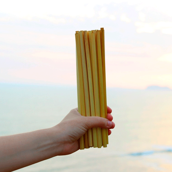 (PACK x 1000) SORBETES GRUESOS by Ayru - HAF Perú