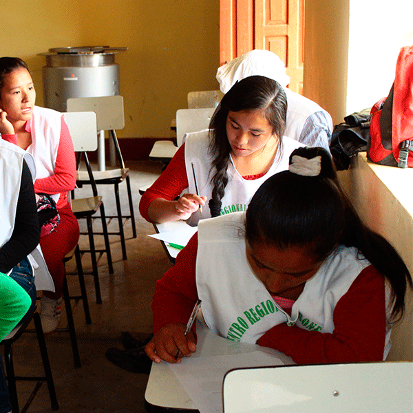 (PACK X 6) MERMELADA DE FRUTOS ANDINOS by Ally Mishky - HAF Perú